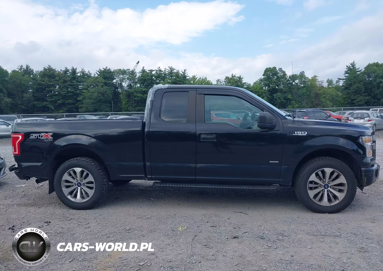 2017 Ford F-150 Xl VIN:1FTEX1EP8HFC74861 - 13