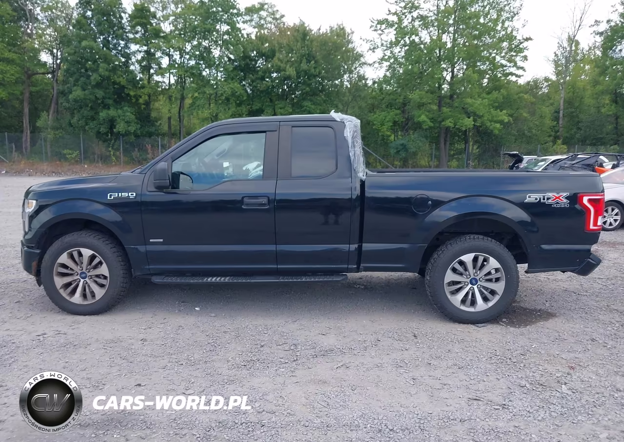 2017 Ford F-150 Xl VIN:1FTEX1EP8HFC74861 - 14