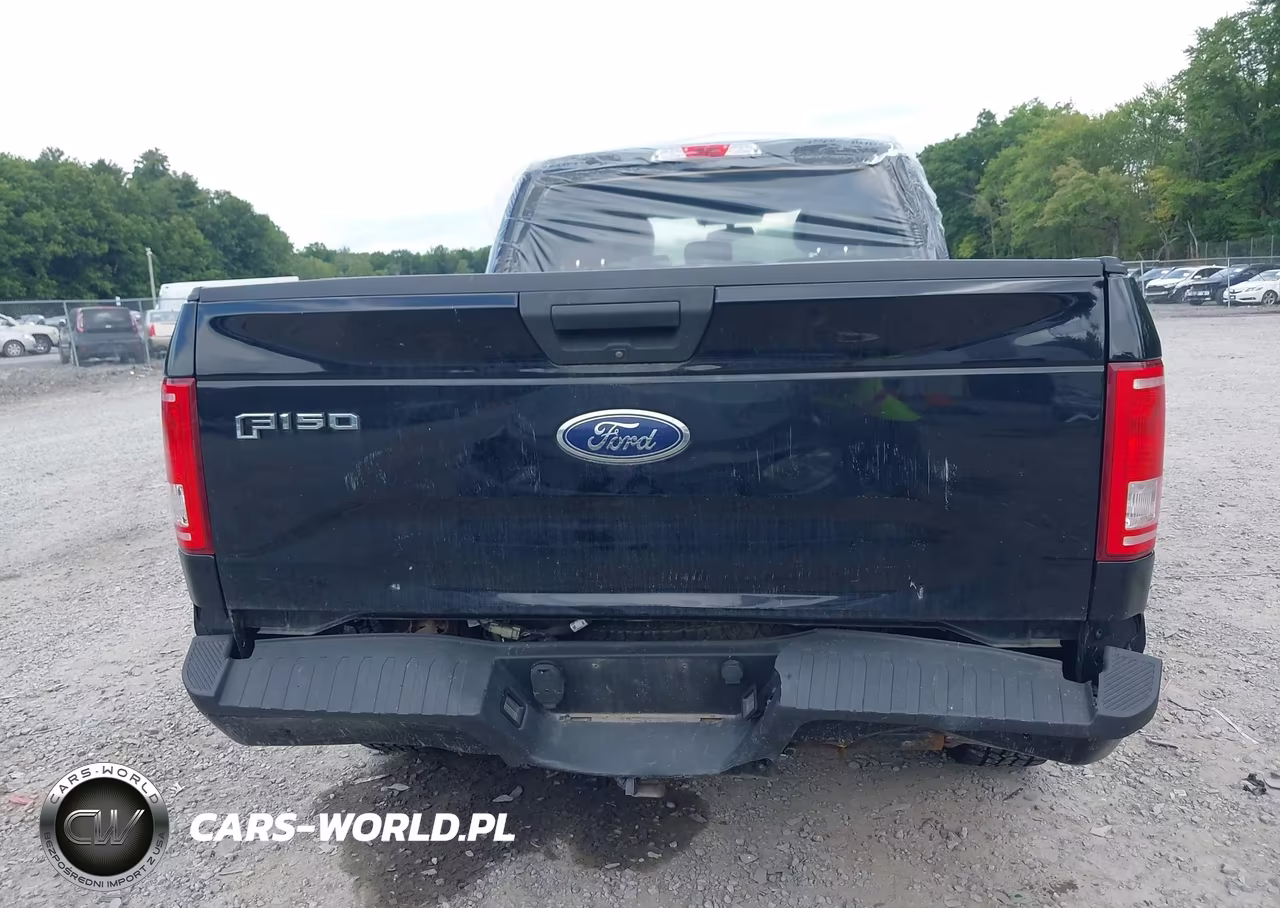 2017 Ford F-150 Xl VIN:1FTEX1EP8HFC74861 - 16
