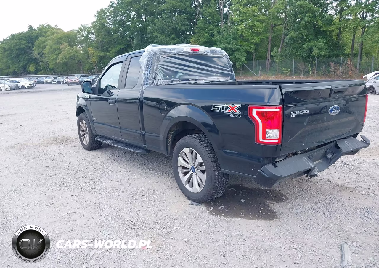 2017 Ford F-150 Xl VIN:1FTEX1EP8HFC74861 - 3