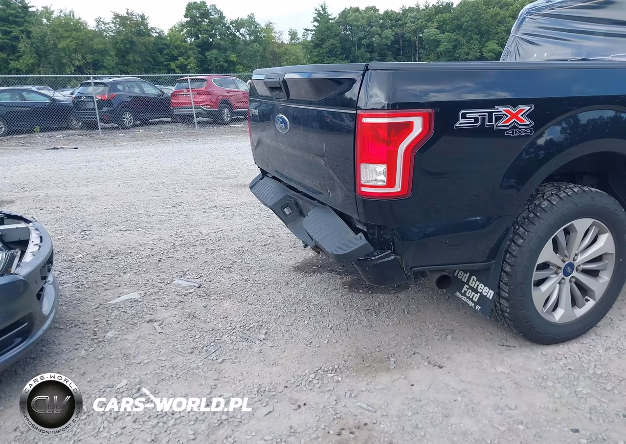 2017 Ford F-150 Xl VIN:1FTEX1EP8HFC74861 - 6