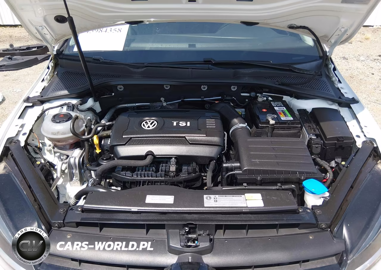 2018 Volkswagen Golf Tsi S-Tsi Se VIN:3VWG17AUXJM279572 - 10