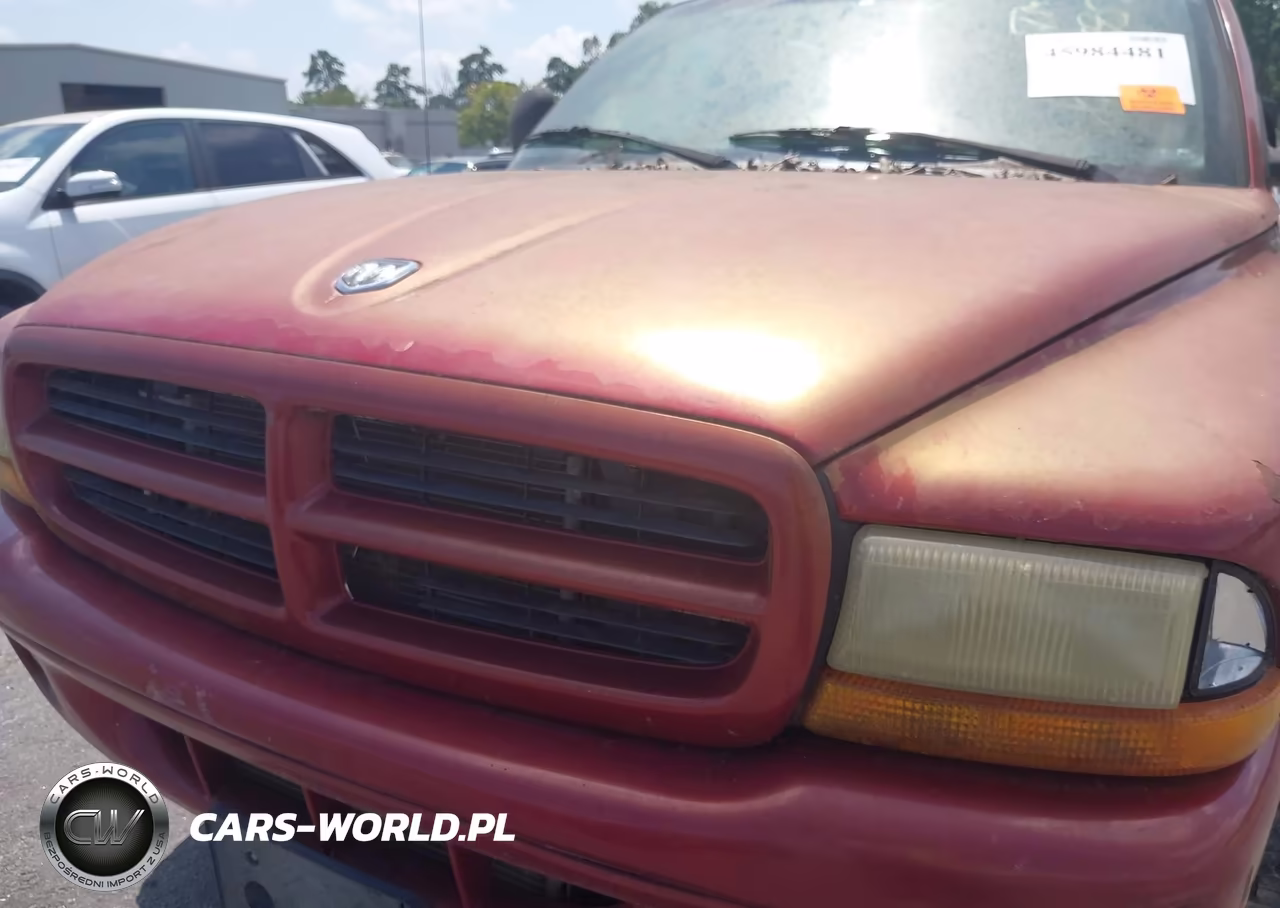 1999 Dodge Durango VIN:1B4HS28Y1XF579958 - 10