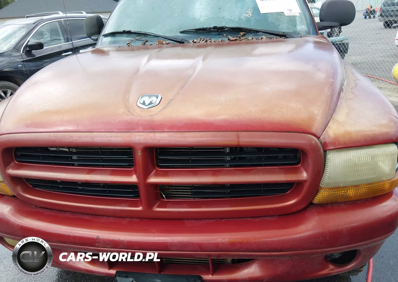 1999 Dodge Durango VIN:1B4HS28Y1XF579958 - 6