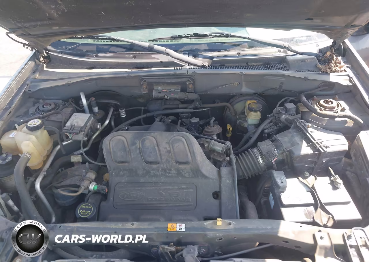 2004 Ford Escape Xlt VIN:1FMYU03164KB21195 - 10