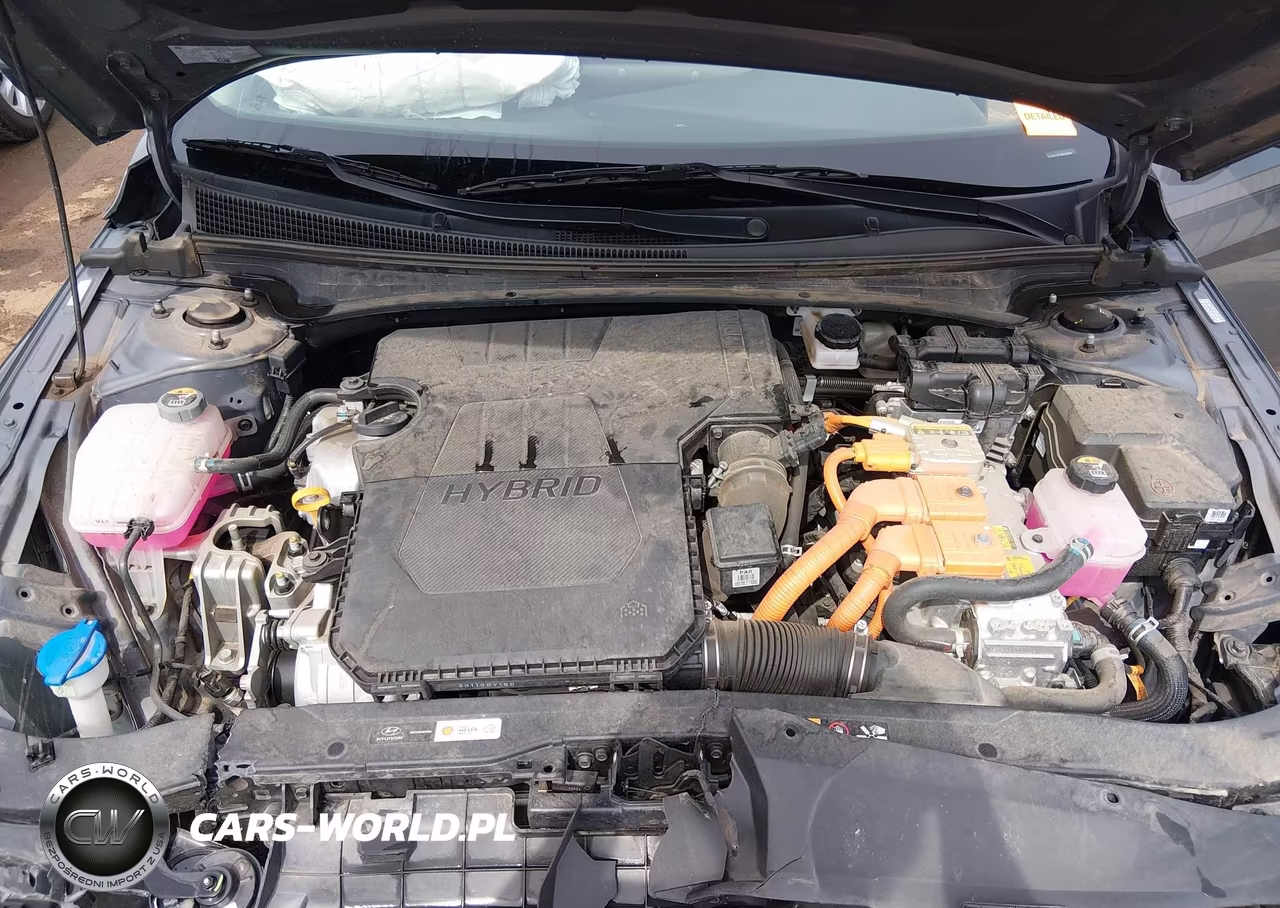 2024 Hyundai Elantra Hybrid Blue VIN:KMHLM4DJ8RU094934 - 10