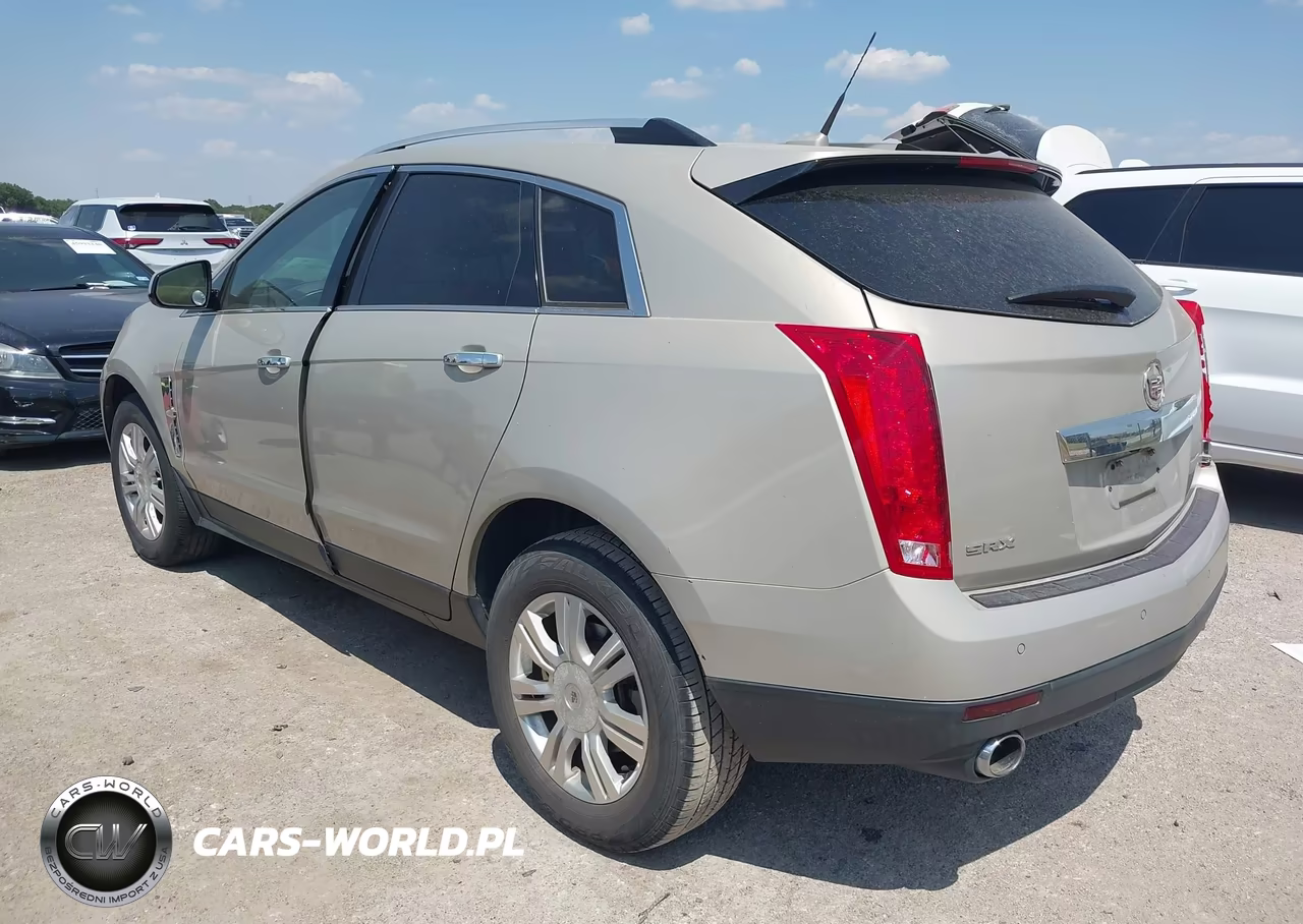 2010 Cadillac Srx Luxury Collection VIN:3GYFNAEY1AS557214 - 3