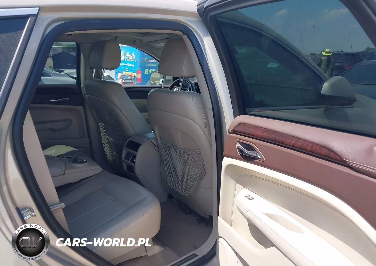 2010 Cadillac Srx Luxury Collection VIN:3GYFNAEY1AS557214 - 8