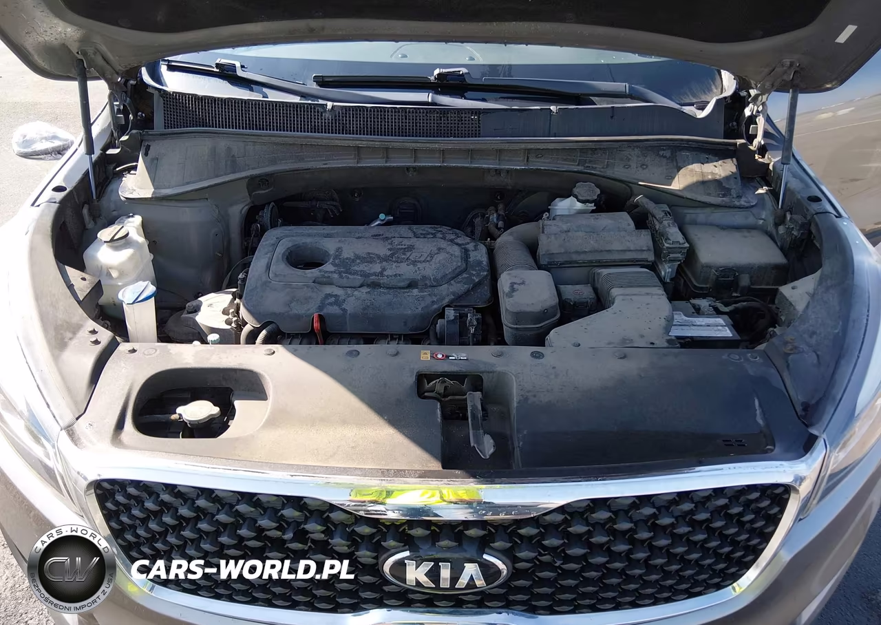 2018 Kia Sorento 2.4L Lx VIN:5XYPGDA39JG347431 - 10