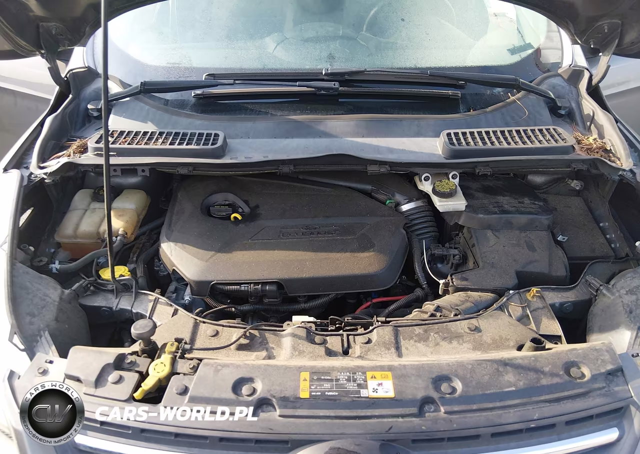 2013 Ford Escape Se VIN:1FMCU0GX2DUD32052 - 10