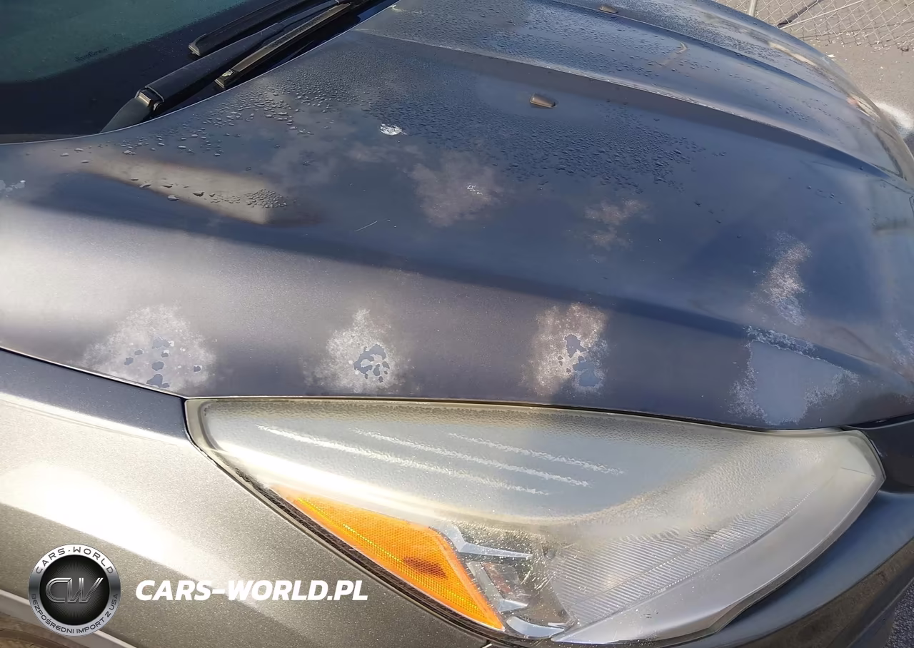 2013 Ford Escape Se VIN:1FMCU0GX2DUD32052 - 13