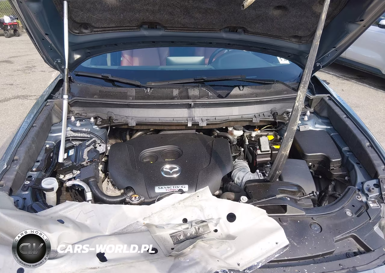 2023 Mazda Cx-9 Carbon Edition VIN:JM3TCBDY8P0655525 - 10