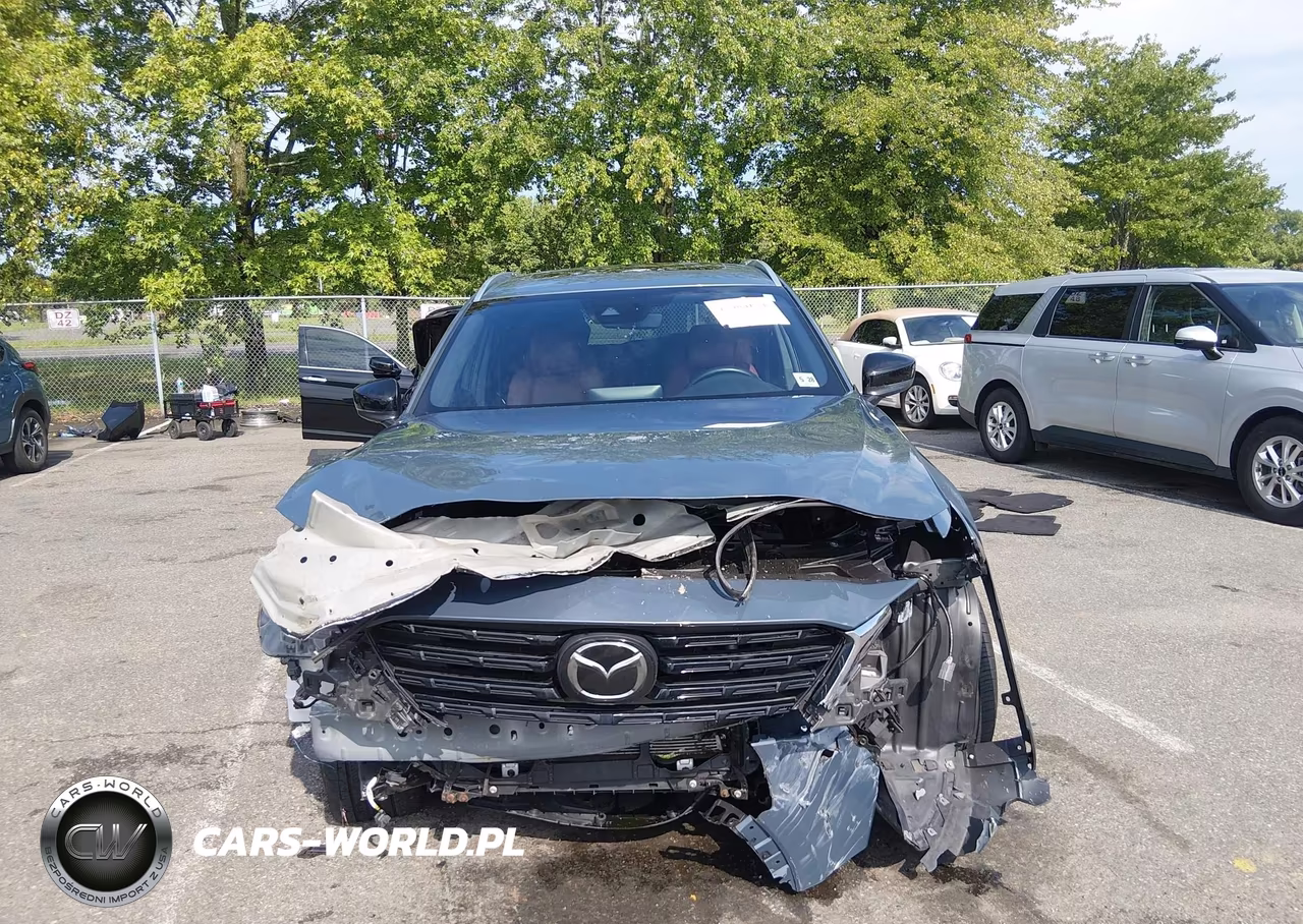 2023 Mazda Cx-9 Carbon Edition VIN:JM3TCBDY8P0655525 - 12