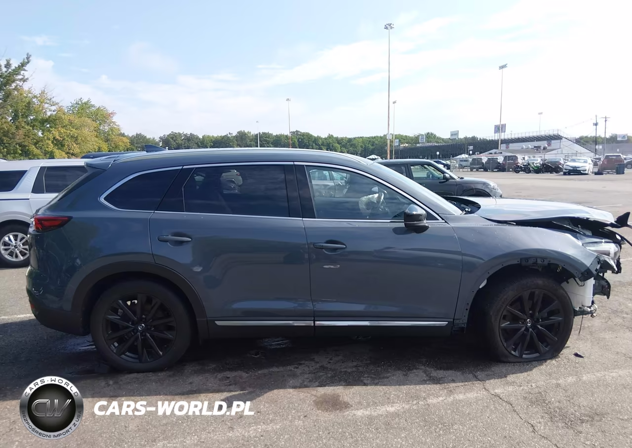 2023 Mazda Cx-9 Carbon Edition VIN:JM3TCBDY8P0655525 - 13