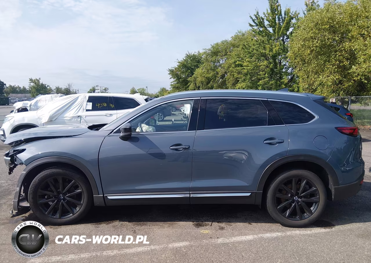 2023 Mazda Cx-9 Carbon Edition VIN:JM3TCBDY8P0655525 - 14