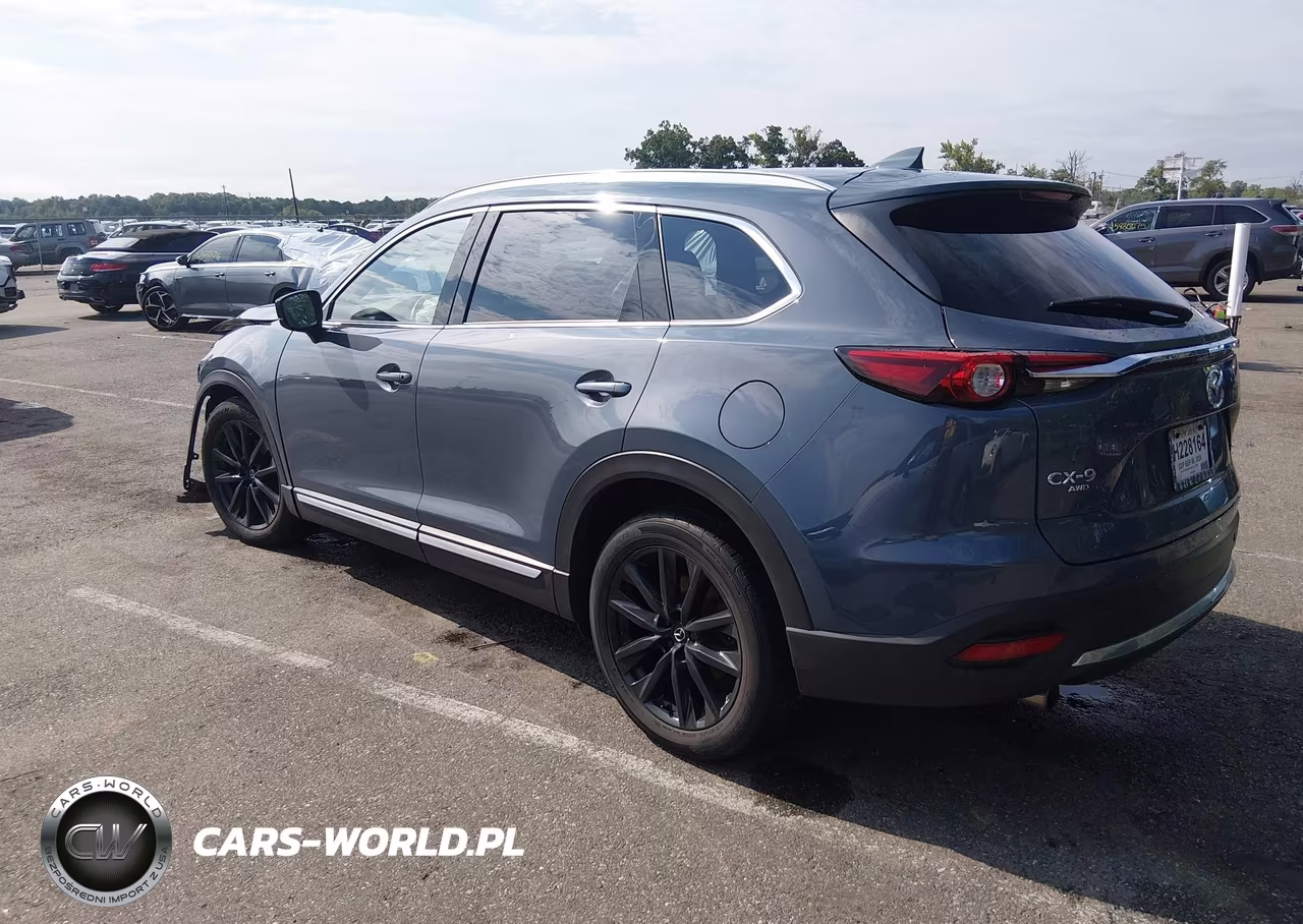 2023 Mazda Cx-9 Carbon Edition VIN:JM3TCBDY8P0655525 - 3