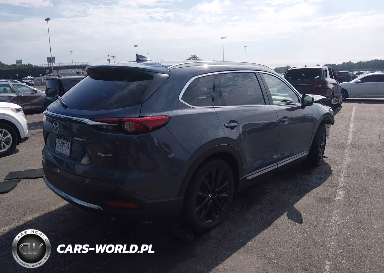 2023 Mazda Cx-9 Carbon Edition VIN:JM3TCBDY8P0655525 - 4