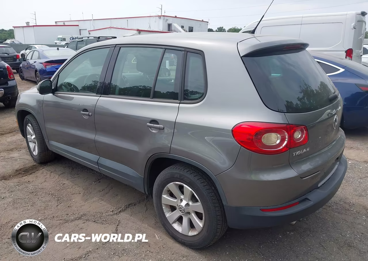 2010 Volkswagen Tiguan S VIN:WVGBV9AX2AW515814 - 3