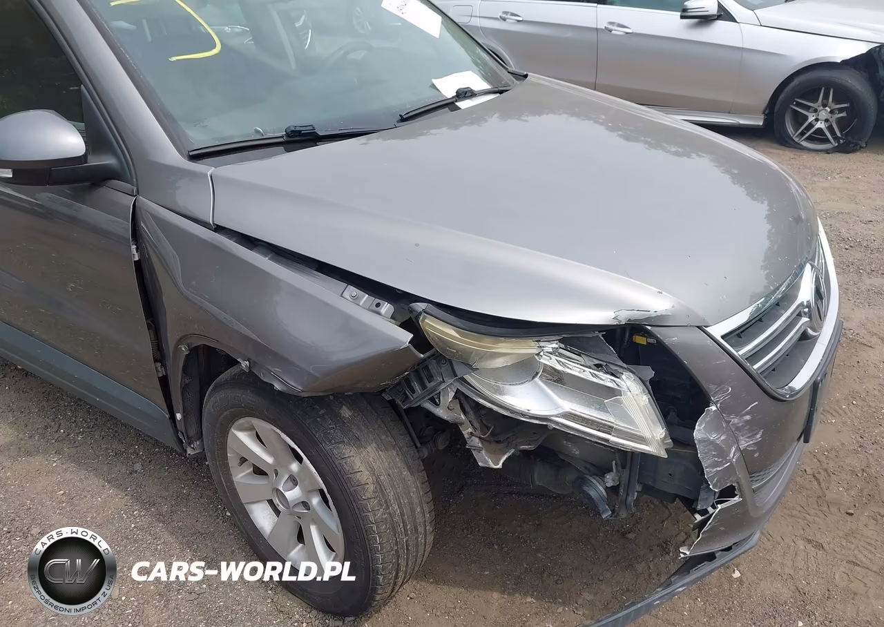 2010 Volkswagen Tiguan S VIN:WVGBV9AX2AW515814 - 6