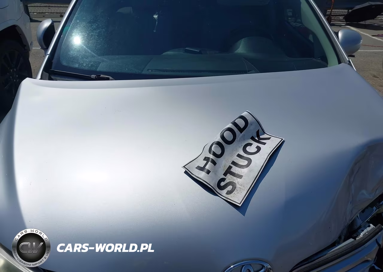 2010 Toyota Venza Base V6 VIN:4T3ZK3BBXAU029553 - 10