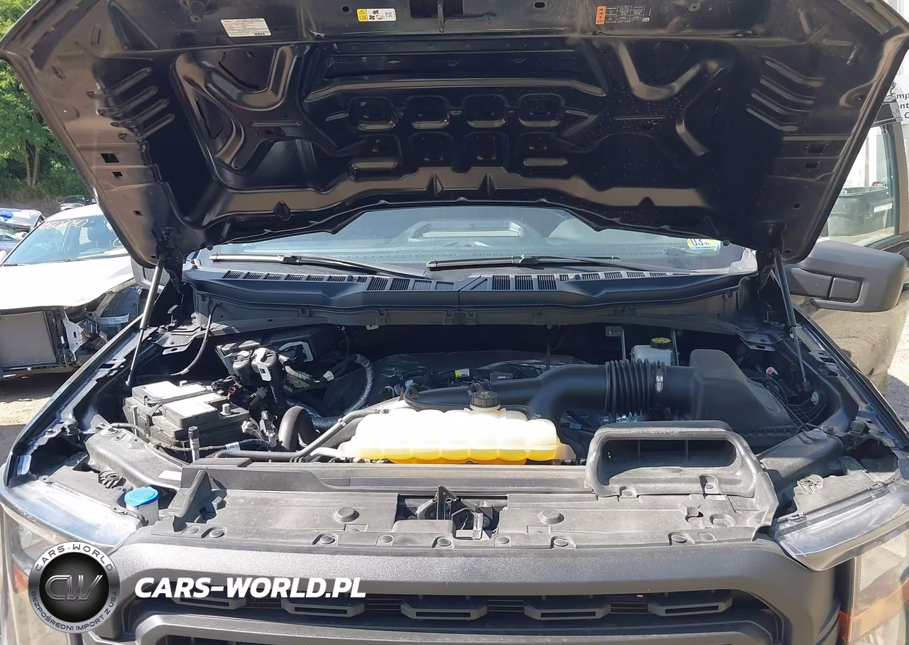 2023 Ford F-150 Xl VIN:1FTEW1EP3PKG12451 - 10