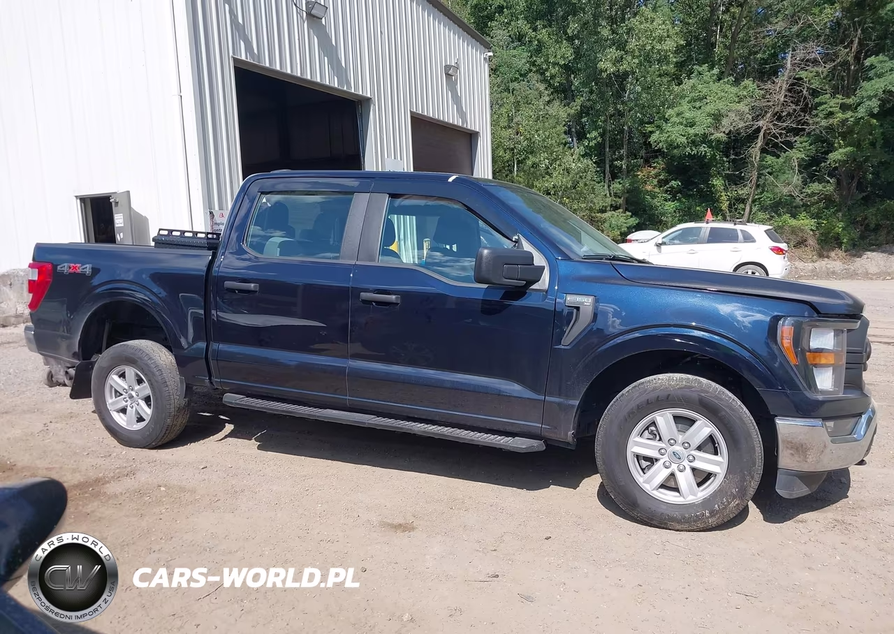 2023 Ford F-150 Xl VIN:1FTEW1EP3PKG12451 - 13