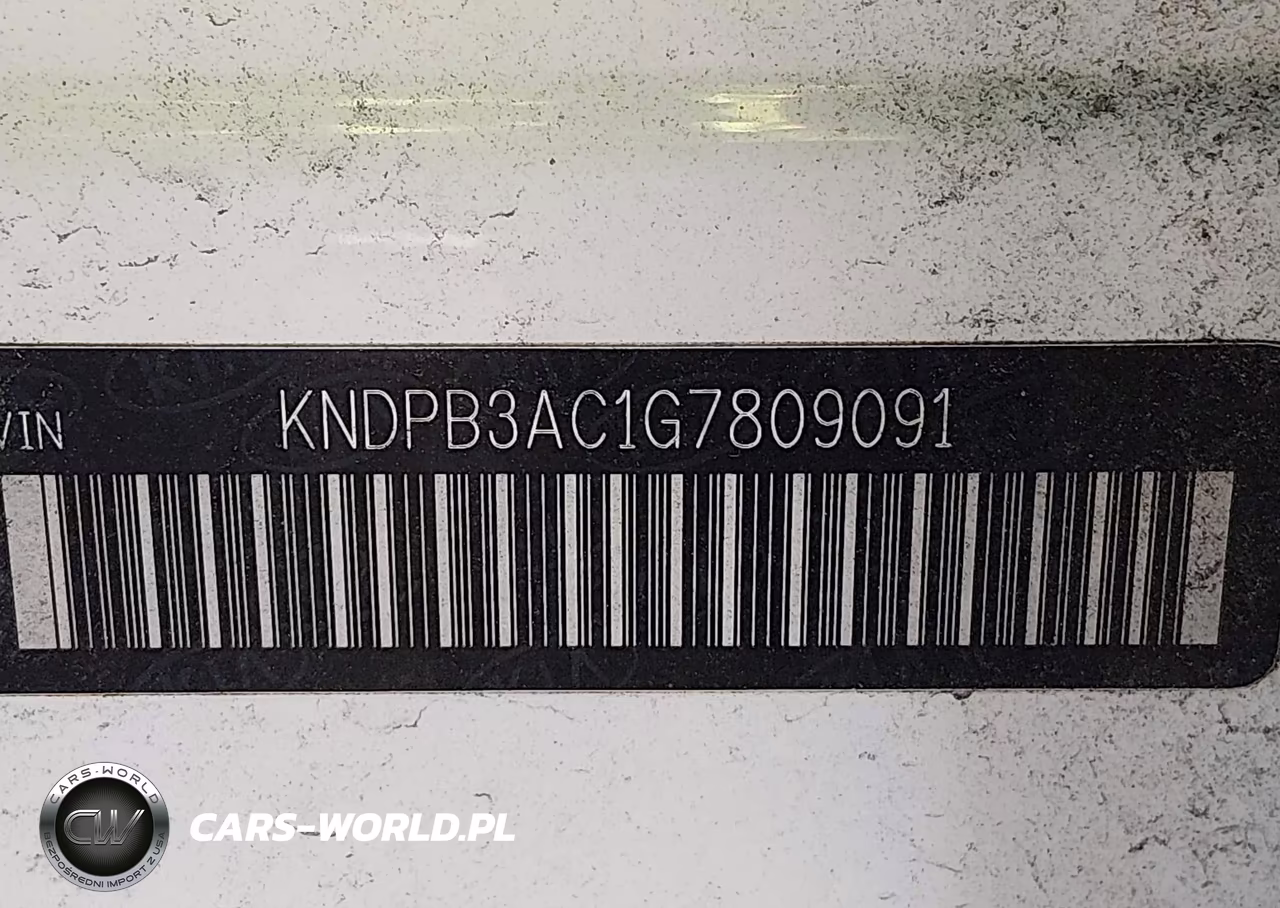 2016 Kia Sportage Lx VIN:KNDPB3AC1G7809091 - 9