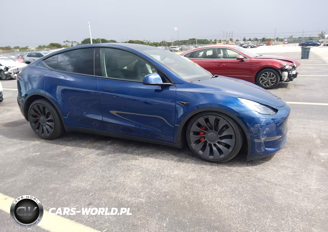2025 Tesla Model Y Performance Dual Motor All-Wheel Drive VIN:7SAYGDEF0SA347156 - 1