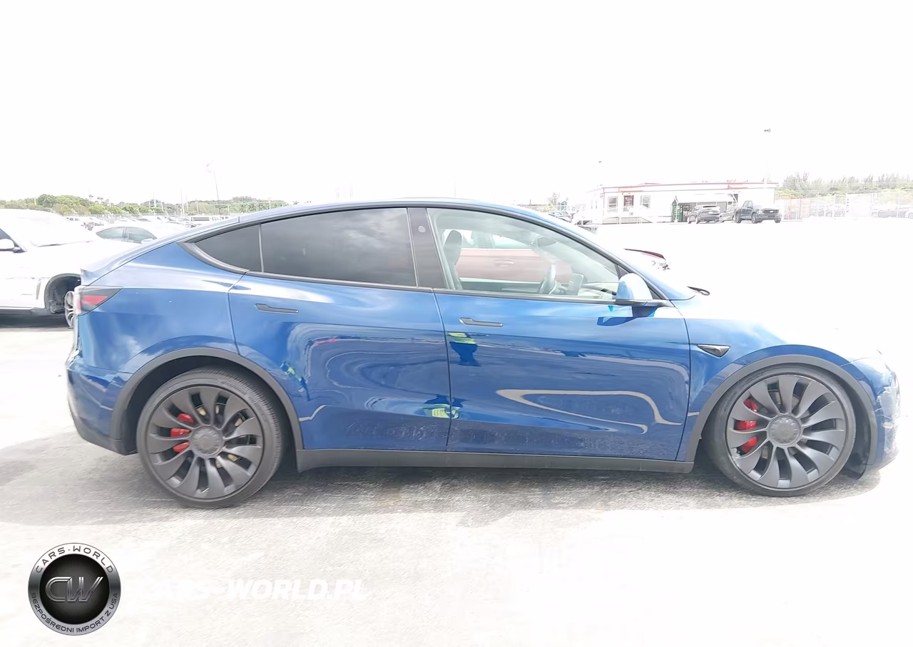 2025 Tesla Model Y Performance Dual Motor All-Wheel Drive VIN:7SAYGDEF0SA347156 - 12