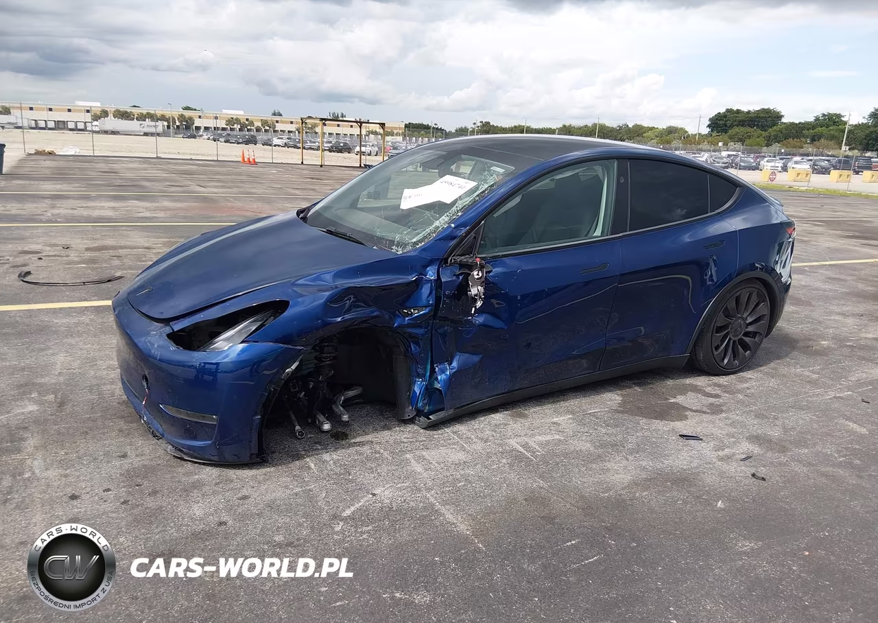 2025 Tesla Model Y Performance Dual Motor All-Wheel Drive VIN:7SAYGDEF0SA347156 - 2