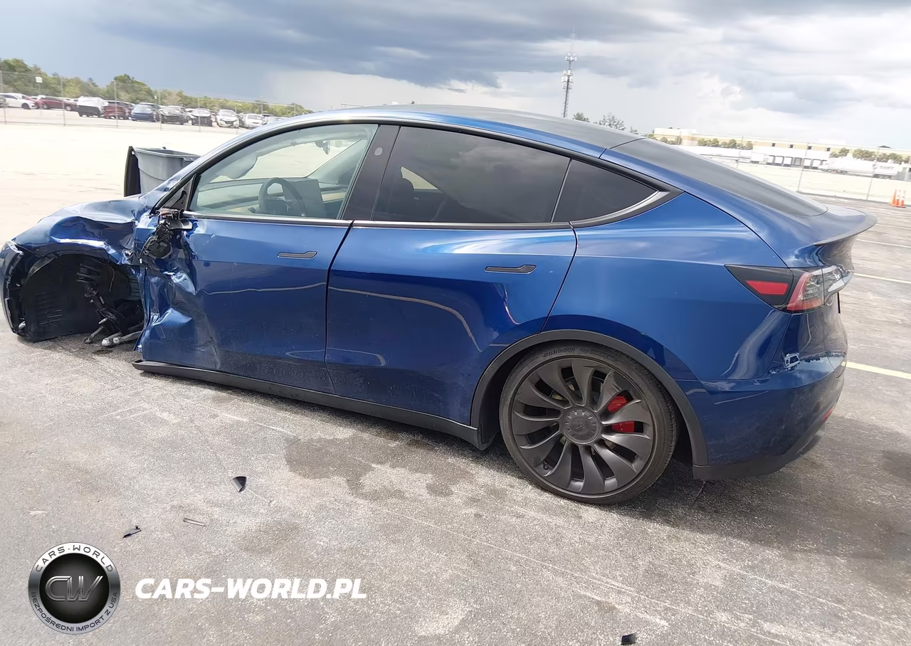 2025 Tesla Model Y Performance Dual Motor All-Wheel Drive VIN:7SAYGDEF0SA347156 - 3