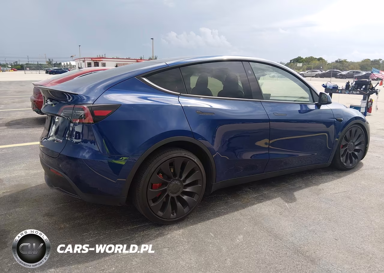 2025 Tesla Model Y Performance Dual Motor All-Wheel Drive VIN:7SAYGDEF0SA347156 - 4