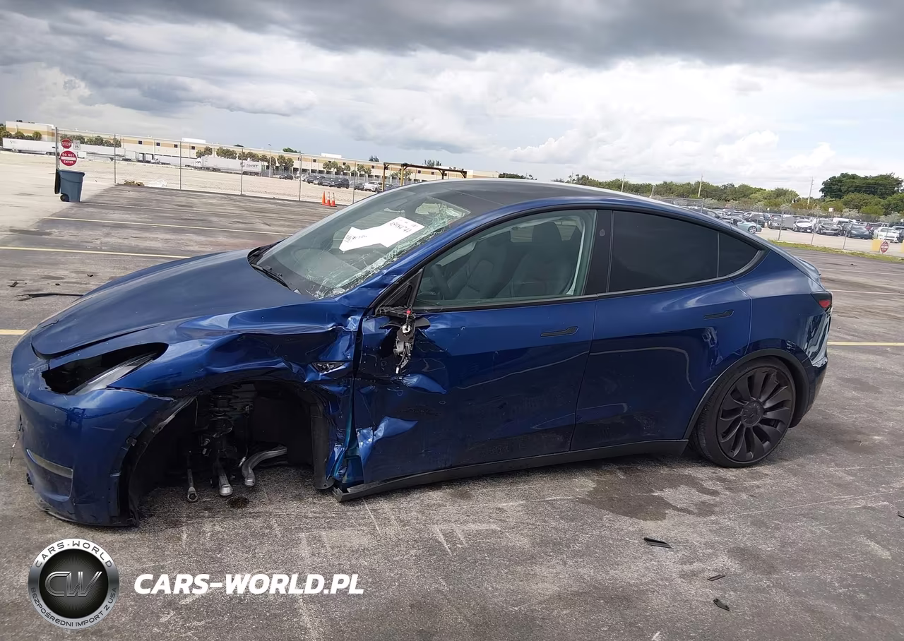2025 Tesla Model Y Performance Dual Motor All-Wheel Drive VIN:7SAYGDEF0SA347156 - 6