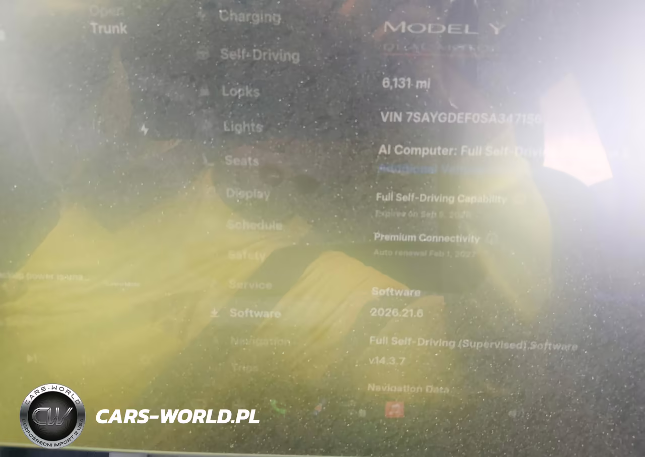 2025 Tesla Model Y Performance Dual Motor All-Wheel Drive VIN:7SAYGDEF0SA347156 - 7