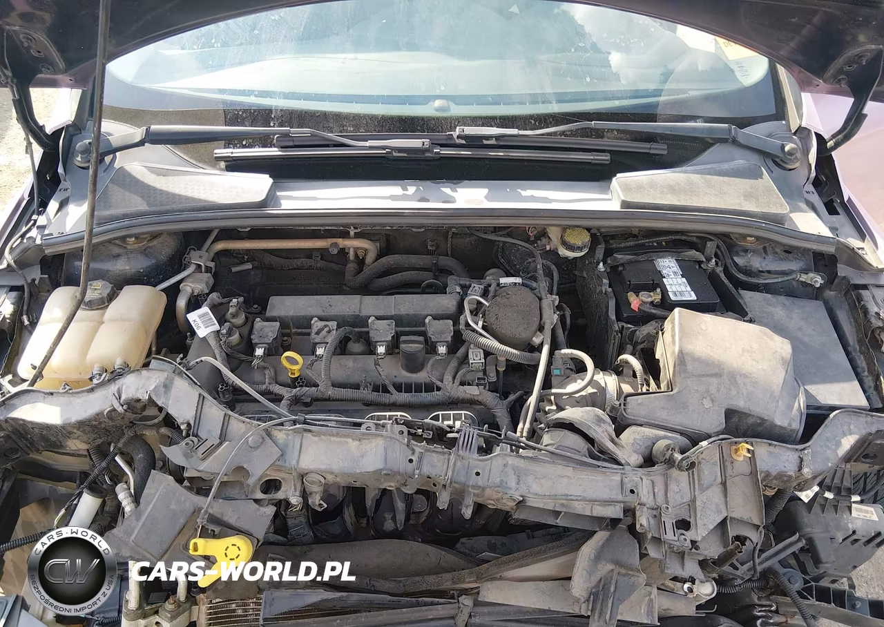 2016 Ford Focus Se VIN:1FADP3F27GL205787 - 10