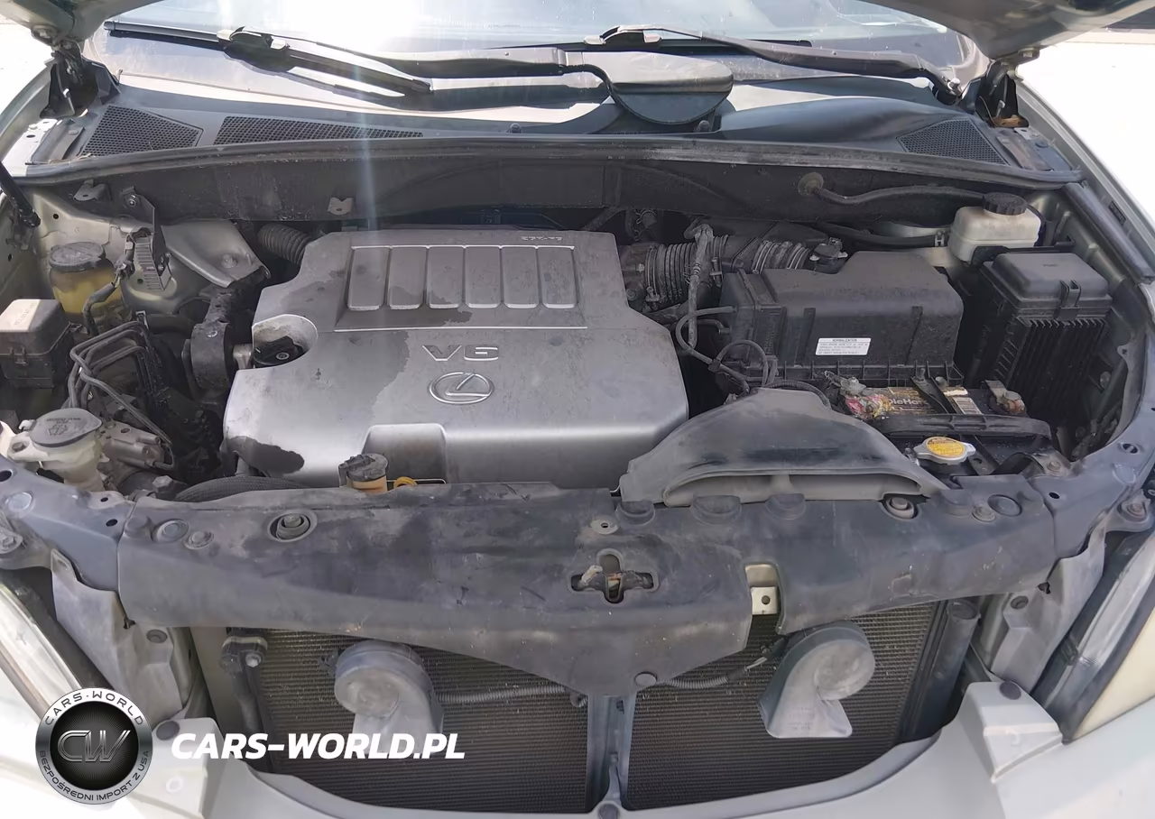 2009 Lexus Rx 350 VIN:2T2GK31U89C073532 - 10