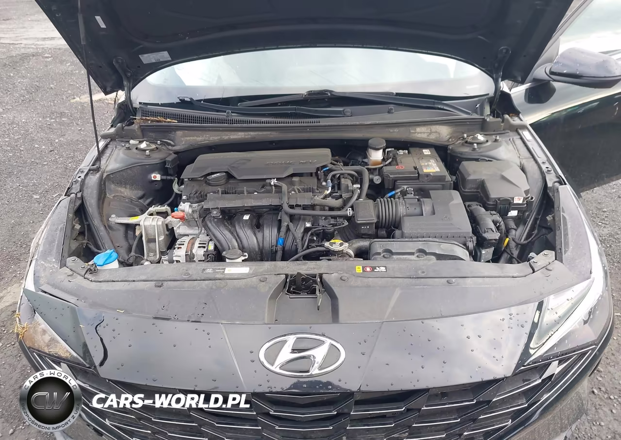 2023 Hyundai Elantra Limited VIN:KMHLP4AG8PU476233 - 10