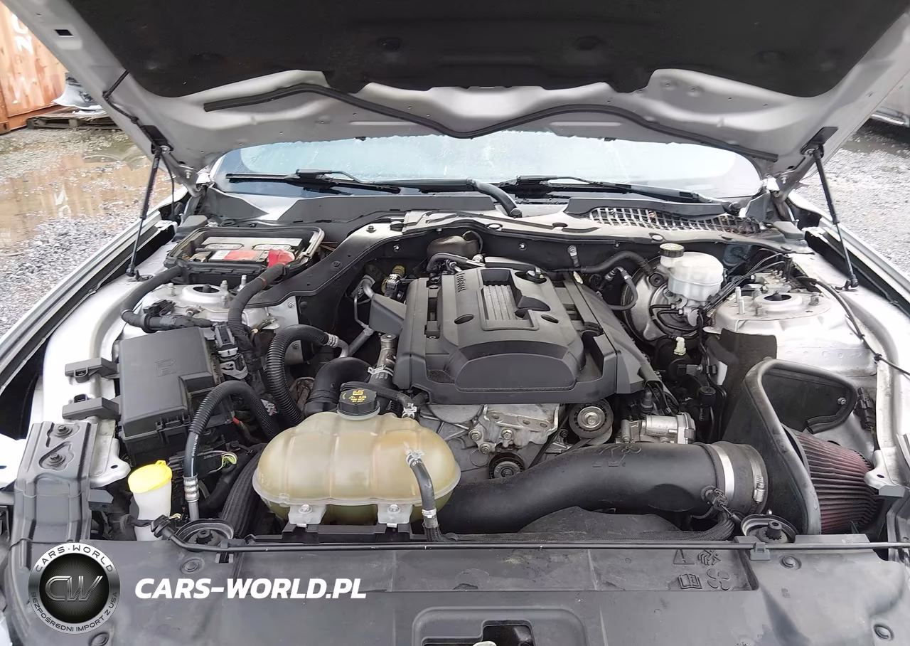 2018 Ford Mustang Ecoboost VIN:1FA6P8TH4J5165050 - 10