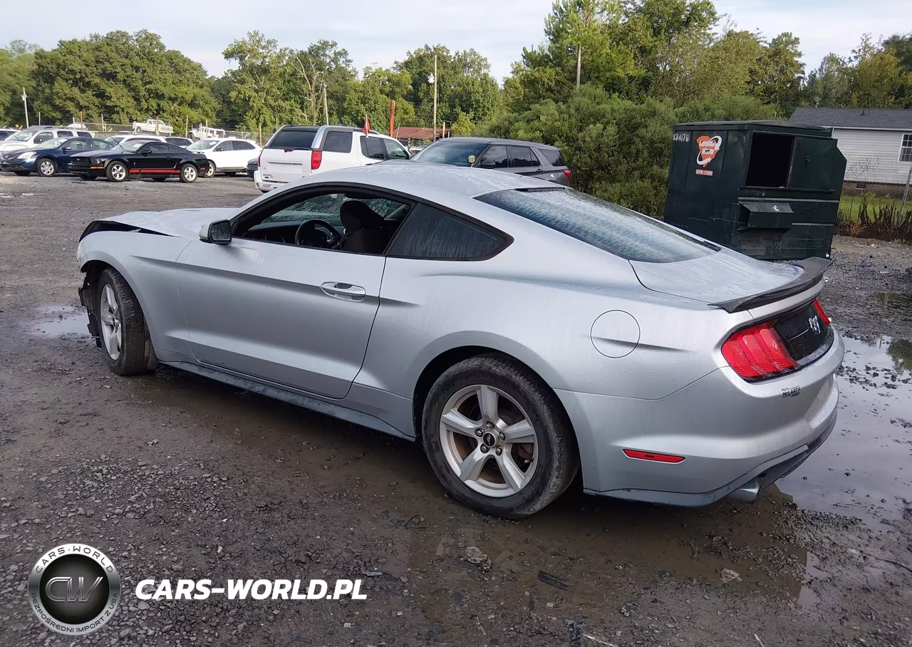 2018 Ford Mustang Ecoboost VIN:1FA6P8TH4J5165050 - 3
