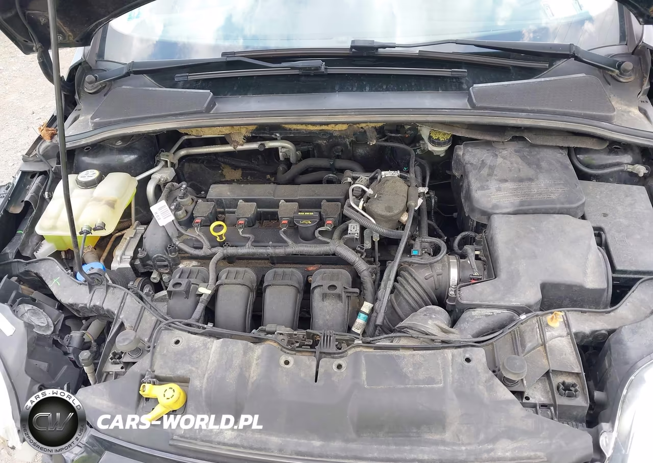 2013 Ford Focus Titanium VIN:1FADP3J26DL121978 - 10
