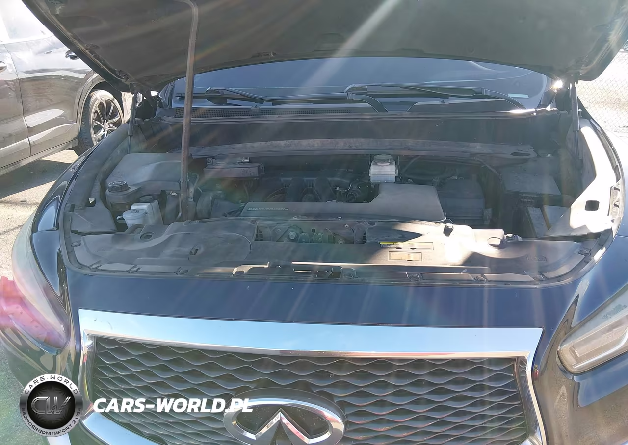 2016 Infiniti Qx60 VIN:5N1AL0MM5GC517260 - 10