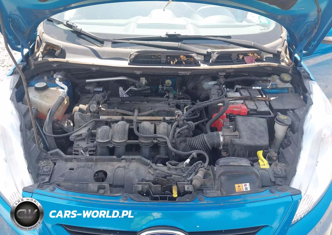 2013 Ford Fiesta Se VIN:3FADP4EJ3DM184297 - 10