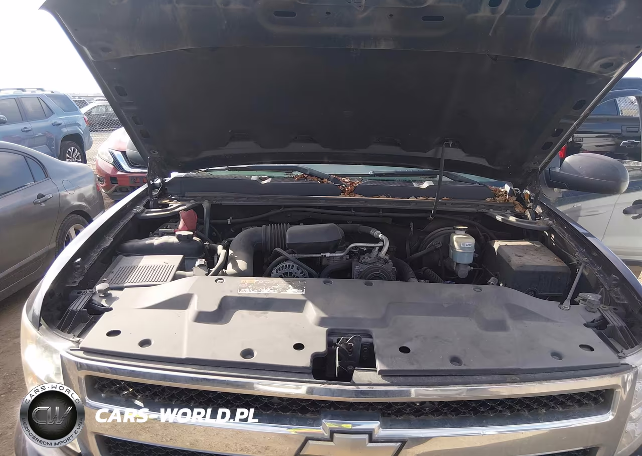 2011 Chevrolet Silverado 1500 Work Truck VIN:1GCNCPEX6BZ449631 - 10