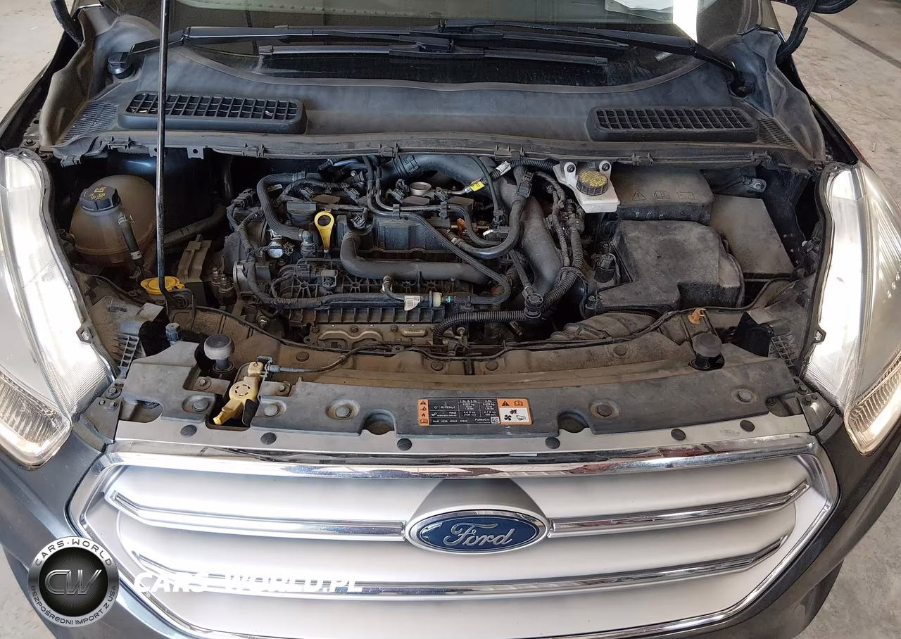 2019 Ford Escape Se VIN:1FMCU9GD9KUA36923 - 10