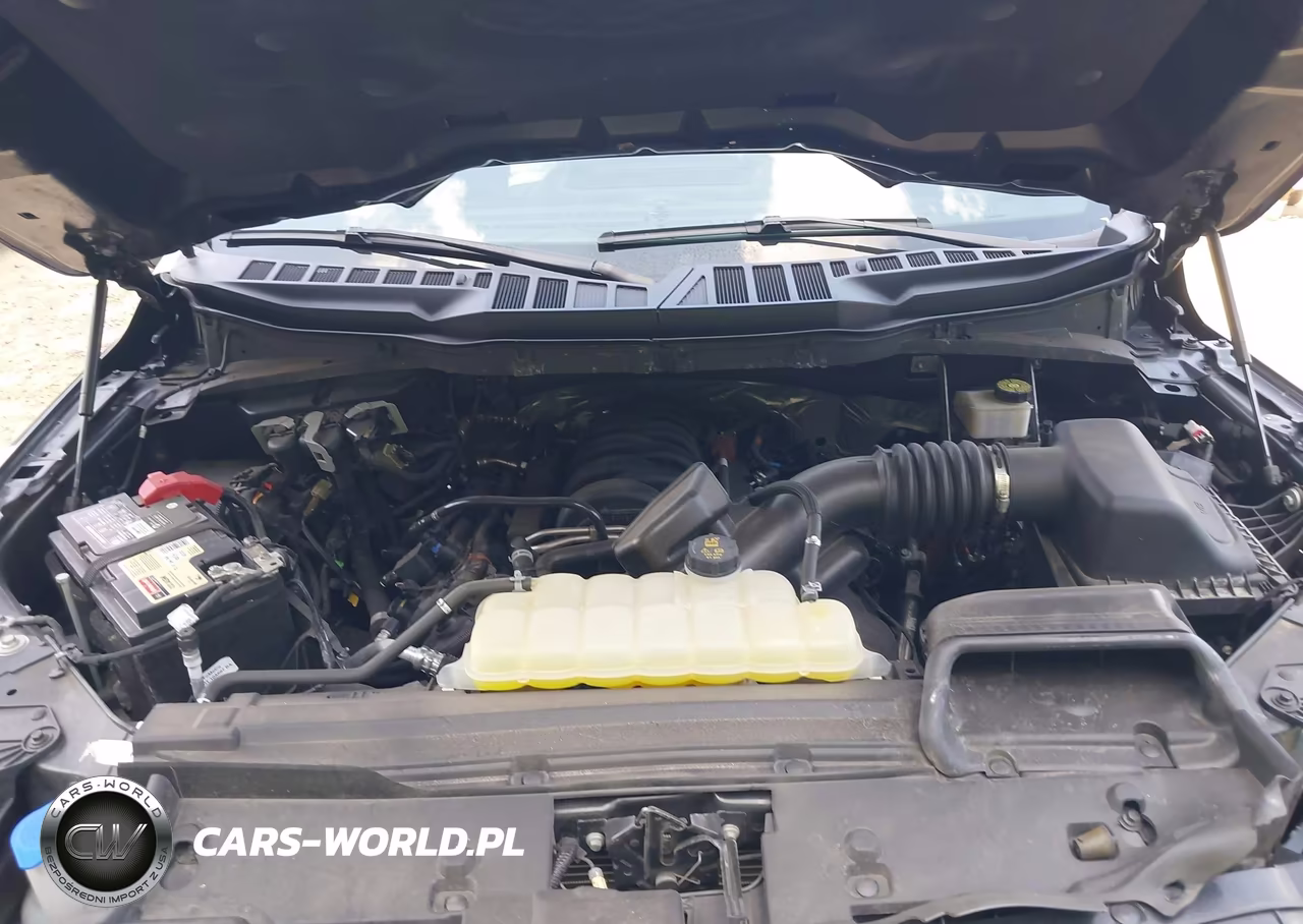 2024 Ford F-150 Xlt VIN:1FTFW3L56RKD06977 - 10