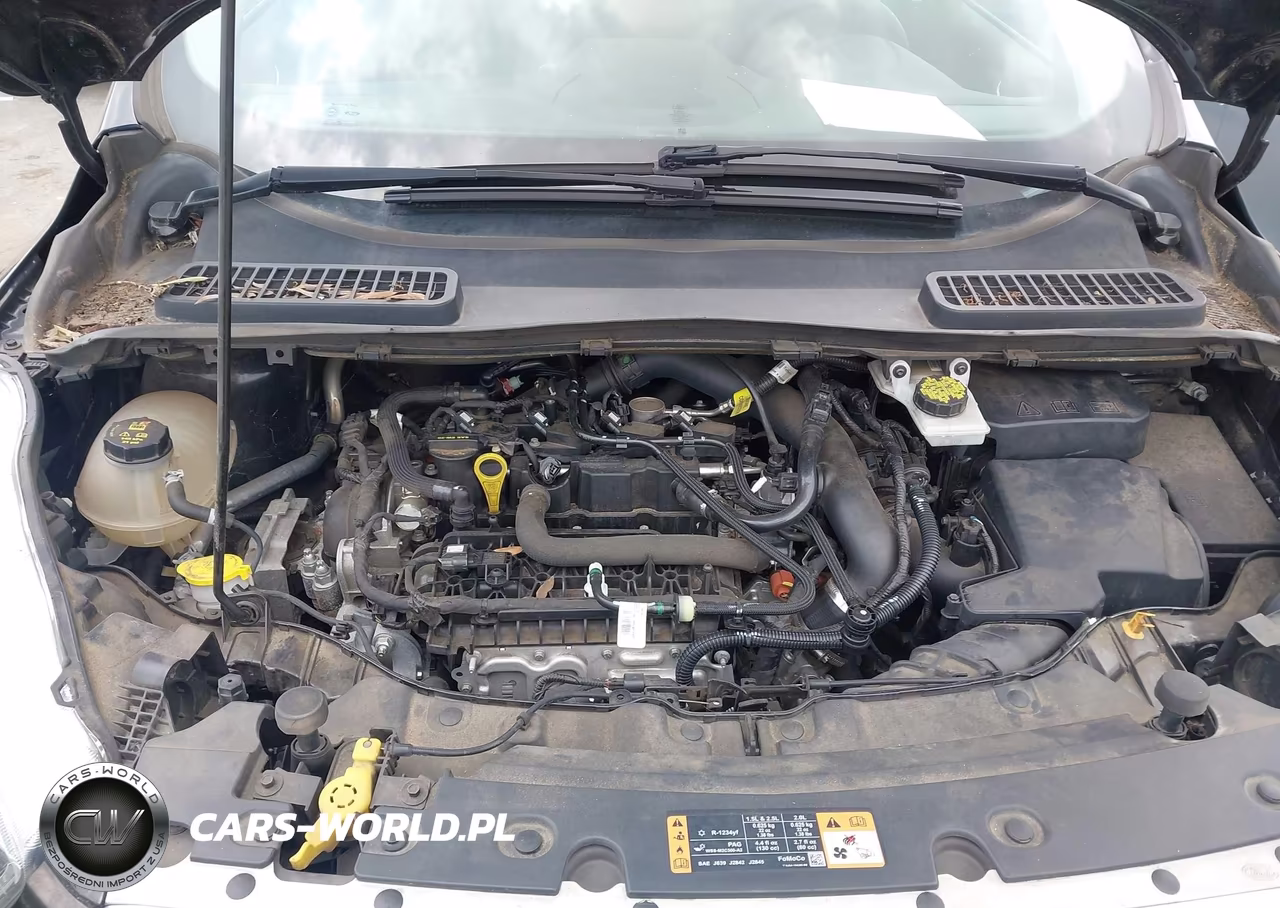 2019 Ford Escape Se VIN:1FMCU0GD2KUB13000 - 10