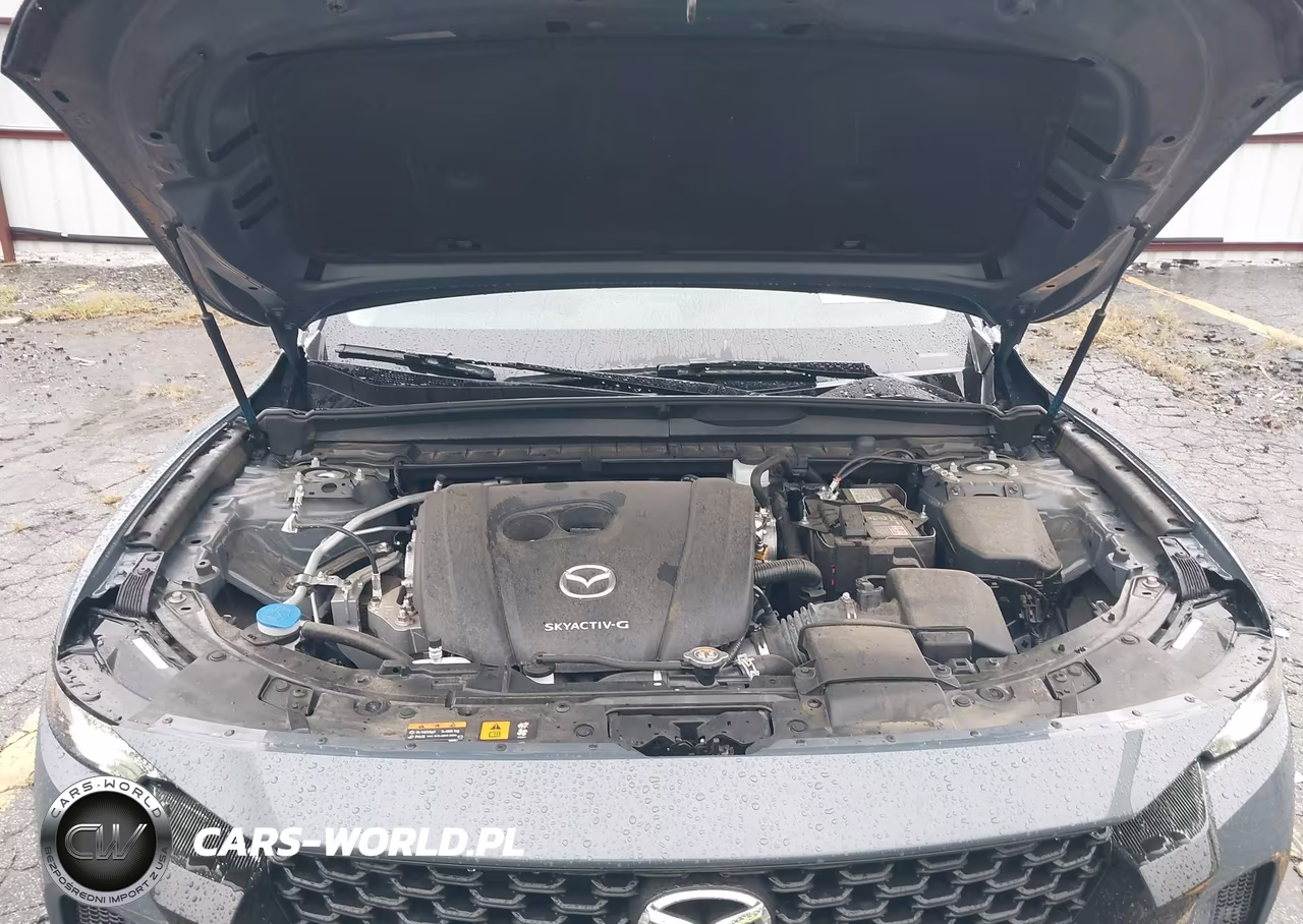 2023 Mazda Cx-50 2.5 S Preferred Plus VIN:7MMVABCM0PN149261 - 10