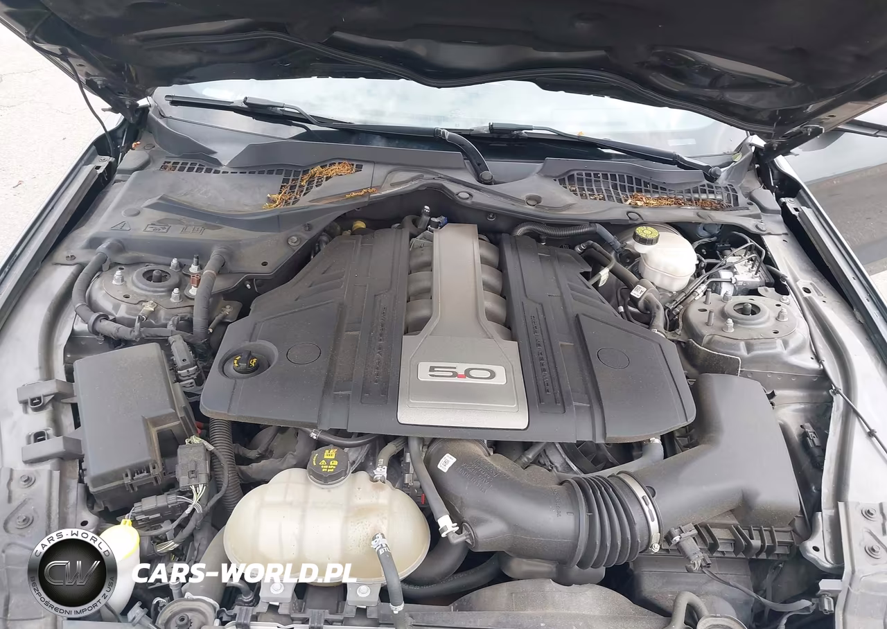 2019 Ford Mustang Gt VIN:1FA6P8CF9K5198836 - 10