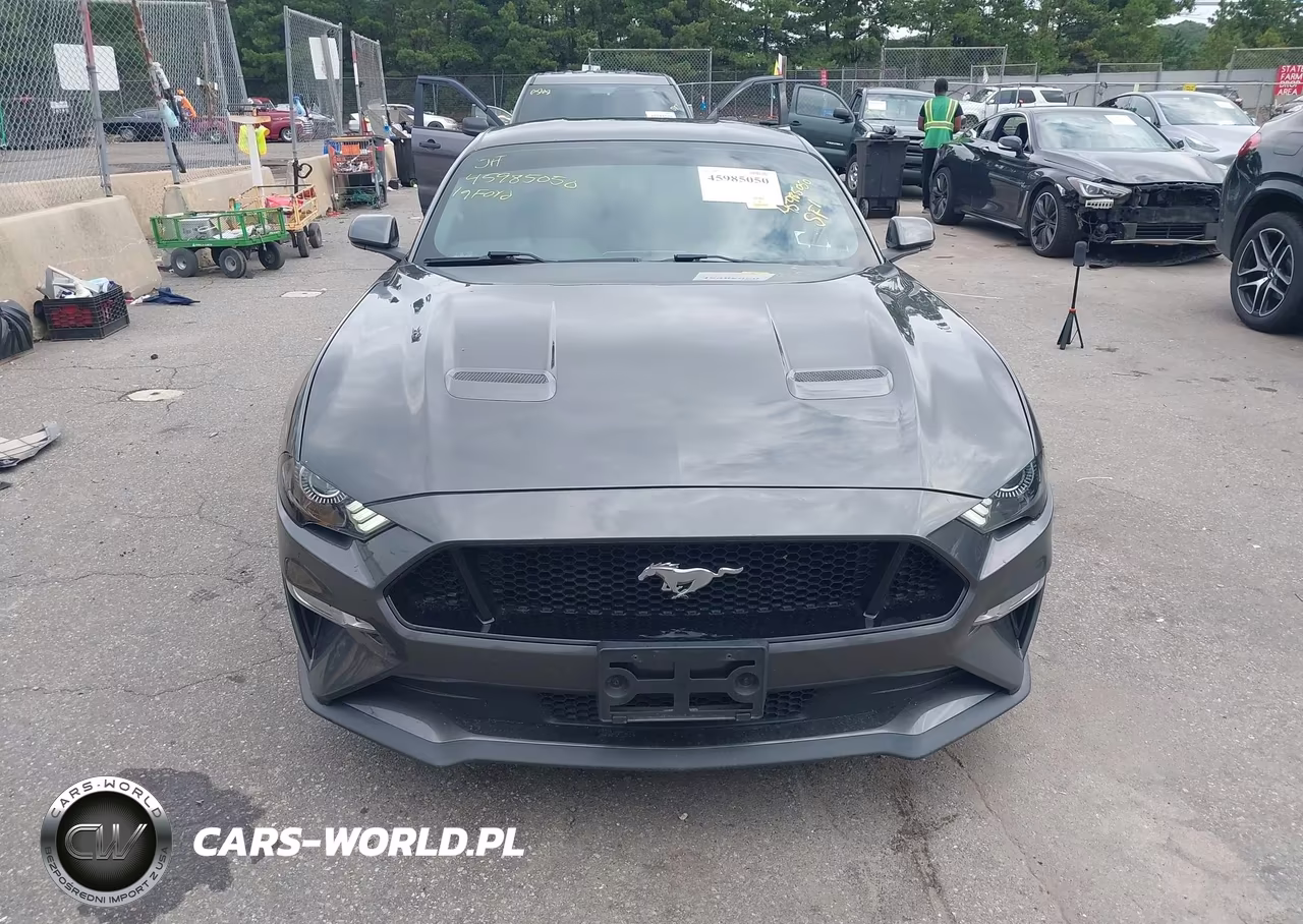 2019 Ford Mustang Gt VIN:1FA6P8CF9K5198836 - 12