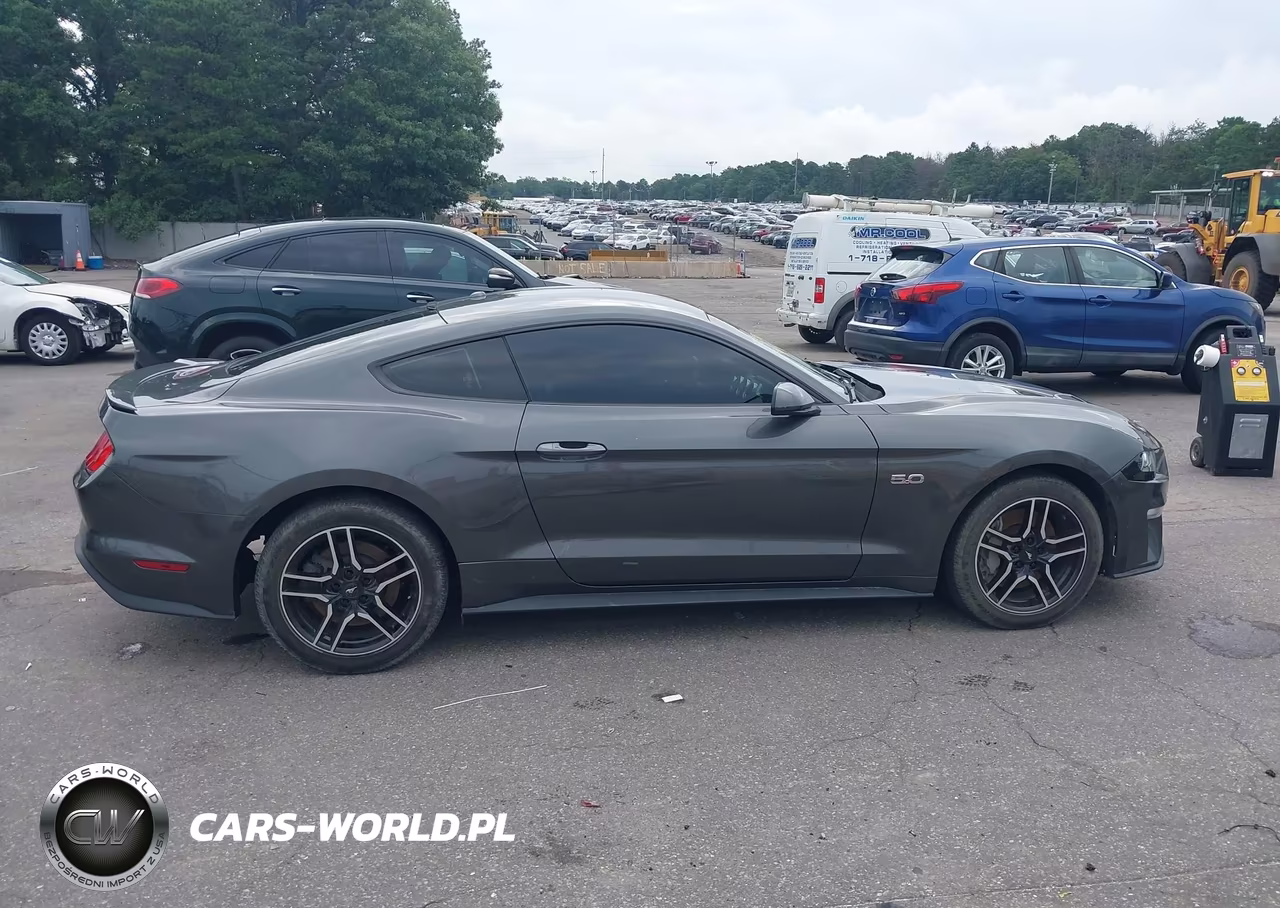 2019 Ford Mustang Gt VIN:1FA6P8CF9K5198836 - 13